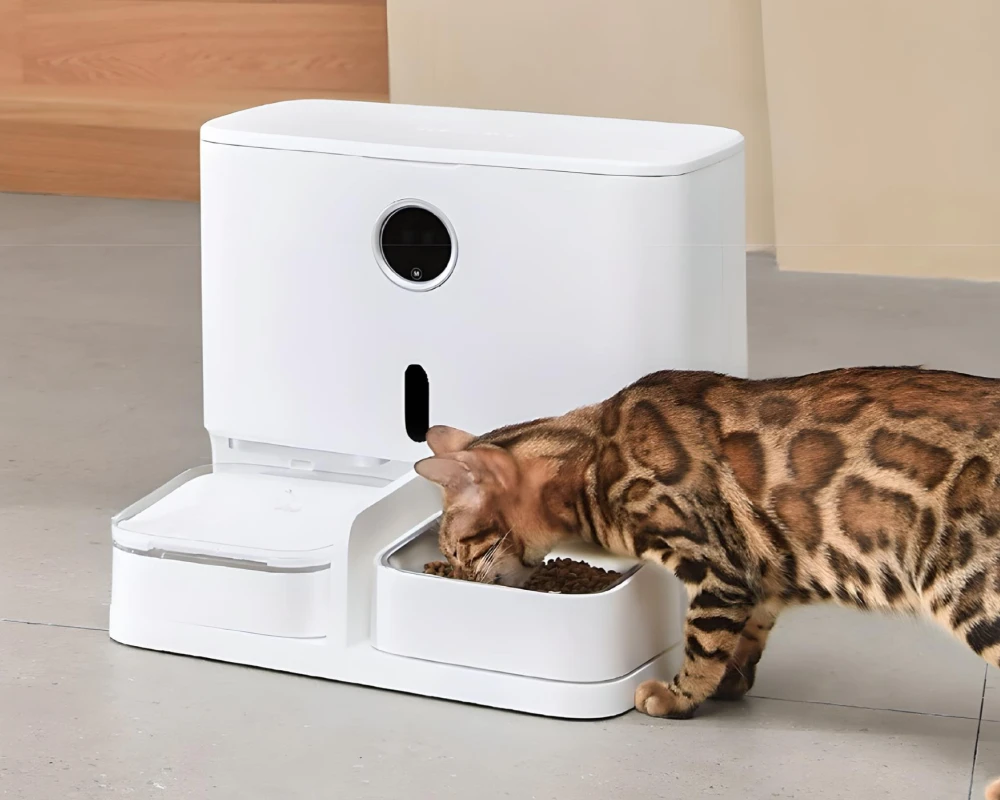 best automatic pet feeder for cats