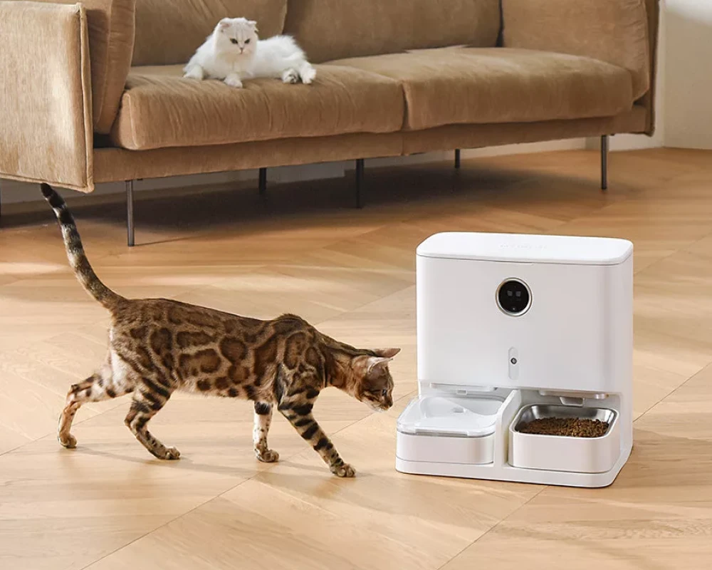 automatic feeder with camera