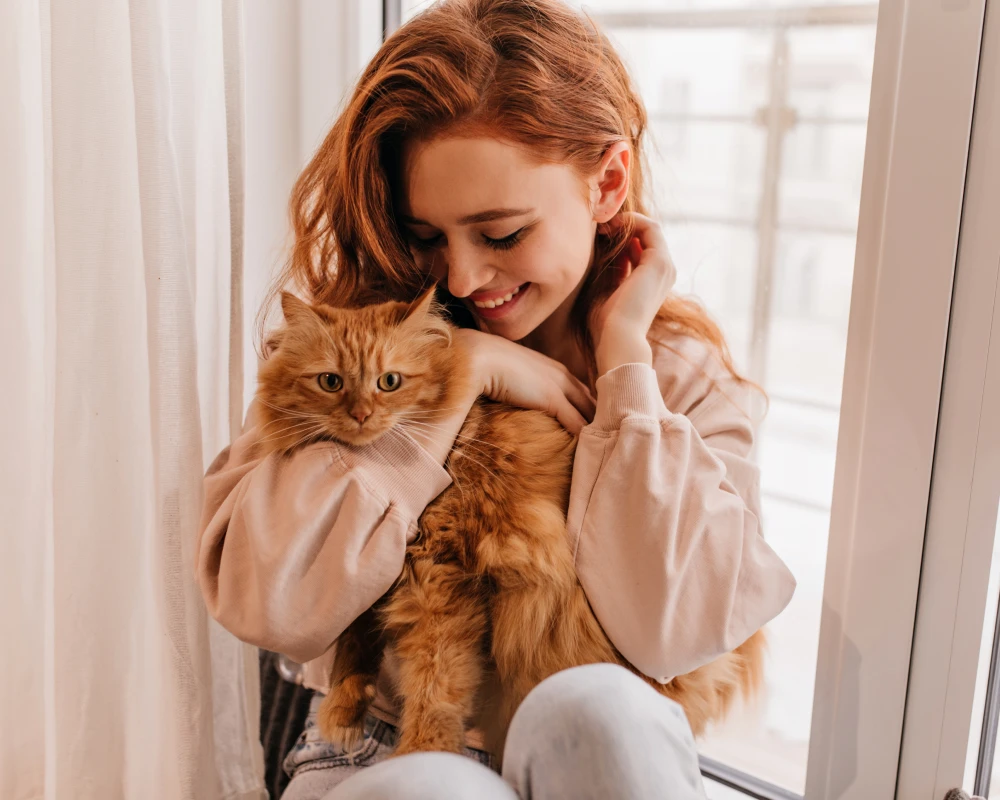 top pets automatic pet feeder